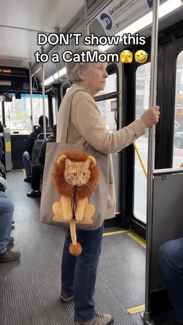 Send this to animal lover 🤣🫣 #animals #totebag #fyp #bag #catmom 