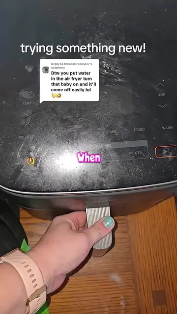 Air Fryer Cleaner 🤯