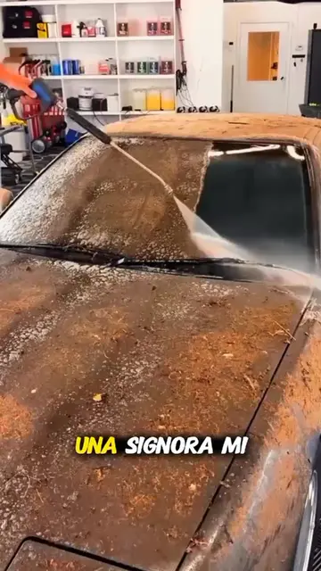 #detailing #carwash #cardetailing 