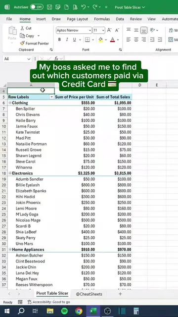 Pivot Table Slicer in Excel‼️ #excel