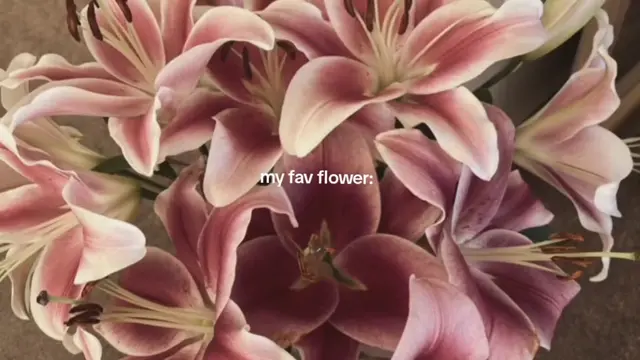 #lillies #flower #wylos_ #foryoupage #fy 