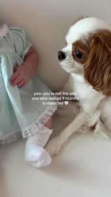 Little besties 🤍 #motherhood #girlmom #cavelierkingcharles #babygirl #vintage 