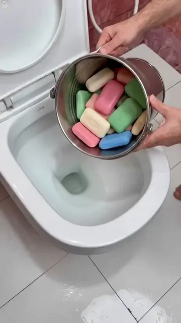 Put This in Your Toilet & Make It Smell Fresh After Every Flush!