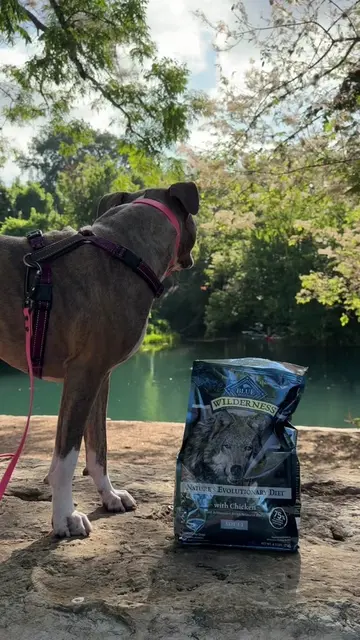 #BlueBuffaloPartner Azula's favorite adventures are fueled by @Blue Buffalo’s hi