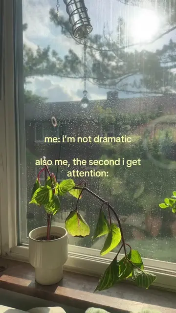 my bloodleaf tests me <3 #houseplants #houseplantsoftiktok #timelapse #PlantTok 