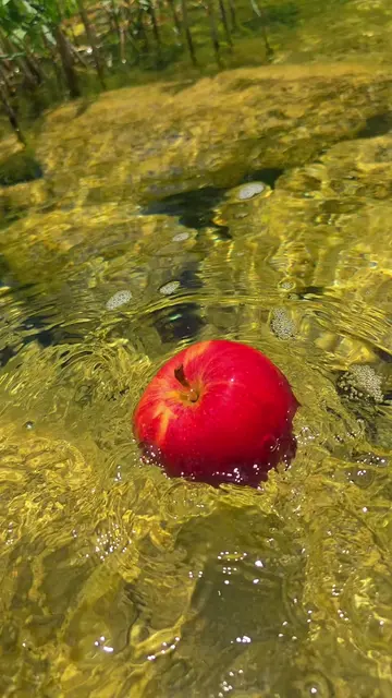 apple #apple 