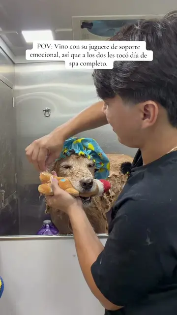 Cuando tu soporte emocional va contigo a todos lados, también le toca día de spa