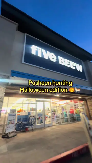 Finally found the pusheens @Five Below 😍 #pusheen #fivebelow #halloween #blindb