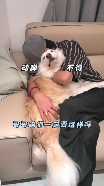 อาจ้านมาาาา พาเกอเกอมาแล้ว น่ารัก #ChenZheyuan #เฉินเจ๋อหย่วน #dog #อาจ้าน #azan
