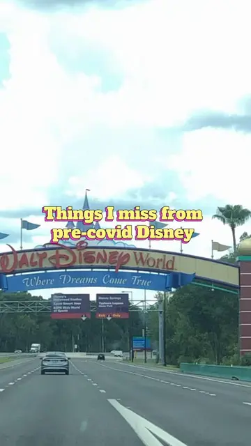 What do you miss from the pre-covid era at Disney? #precovid #precoviddisney #ba