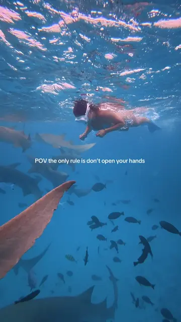 Just got the footage back and this is cracking me up #maldivesislands #maldivest