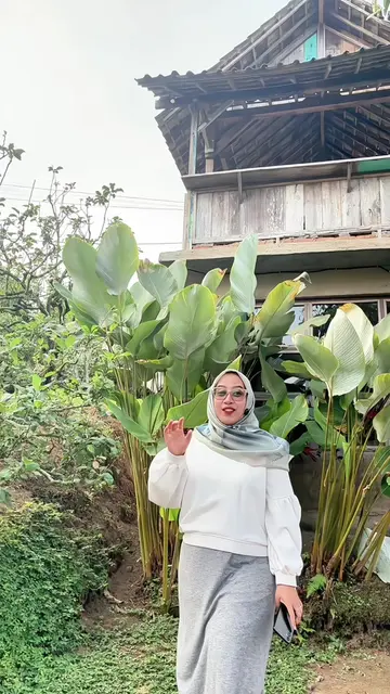 Tutorial blur background di tiktok #tutoria #tutorialedit #blurbackground 