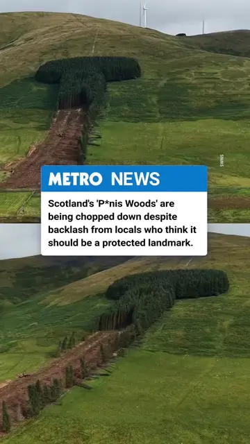 Scotland's infamous “Penis Woods”, also fondly known as 'Treenis' is disappearin
