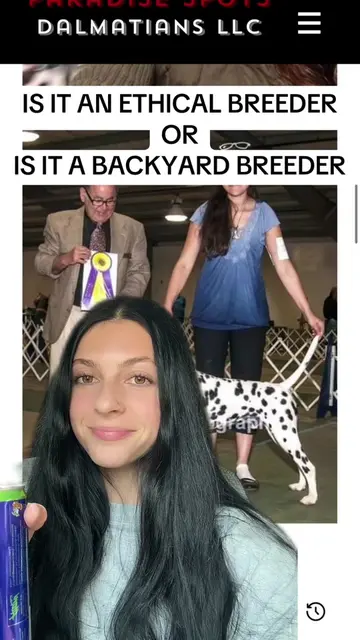 I didn’t even get into how many litters in a year … #backyardbreeder #backyardbr