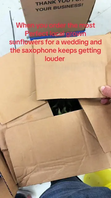 Oh boy yikes!! #floristsoftiktok #saxophone🎷 
