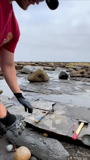 We went fossil hunting on a Jurassic Coast beach and searched for hidden treasur