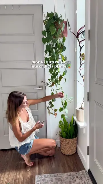 Cozy plant chores are my favorite 🌿 who doesn’t love free plants? 