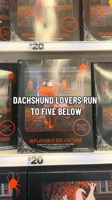 Have you ever dreamt of being a DACHSHUND?! Nows your chance! @Five Below #dachs
