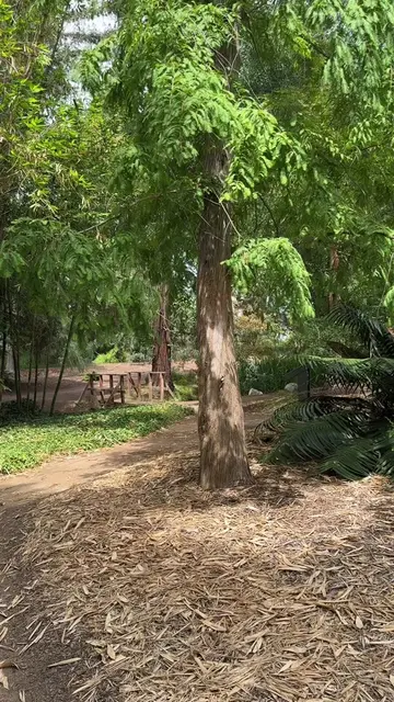 I felt like we were stepping into a lush forest filled with wildlife and greener