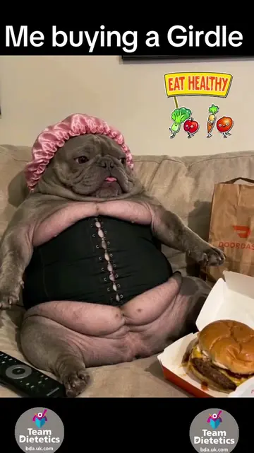 Healthy eating. Bought a girdle to cancel out my DoorDash. #friends #humor #joke