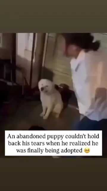 🥺 If this doesn’t break your heart and put it back together all at once... ❤️ I