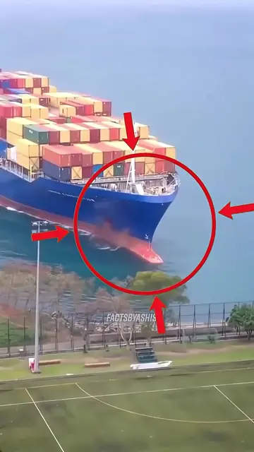 🤔Singapore-flagged container ship crashes in India Village #facts #ship #contai