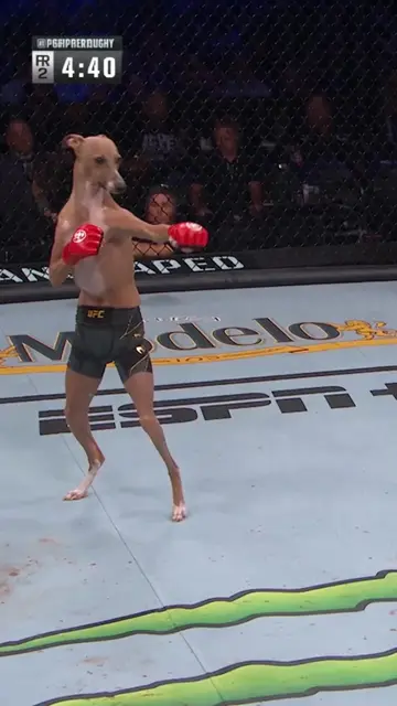 They said he was too slender for this fight... #mma #UFC #martialarts #fitness #