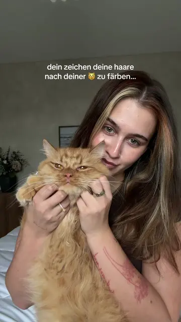 sind jetzt zwei gingers zu hause 😽👩🏼‍🦰 #vipmitlou #hairtransformation #hairt