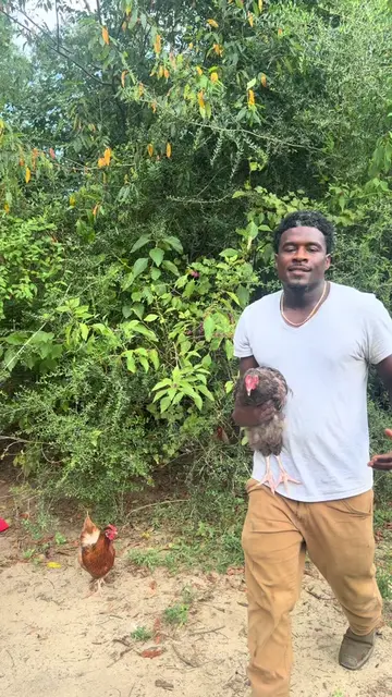 I’m probably gonna make some people mad with this one… 😂🐔 But if you’re thinki