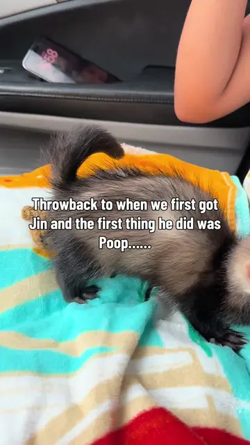 Yes this is the dark side of having animals luckily we had this towel and put it