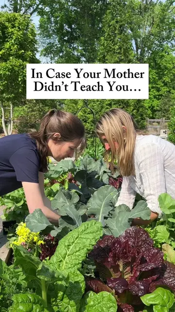 In case your mom never told you... Nature has all we need! Your garden knows how