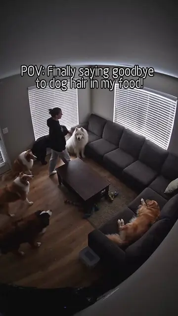 POV: Loving my dog without eating its fur#heapets #PetHair #petairpurifier #PetA