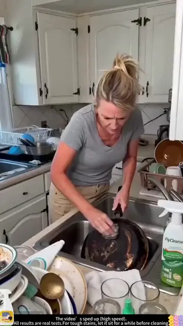pray desengrasante de alta potencia. Ideal para cocinas, hornos, estufas y campa