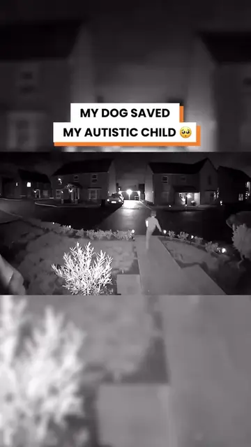My dog became my child’s hero 🥹🐶 Alfie, a non-verbal autistic 6-year-old, sudd