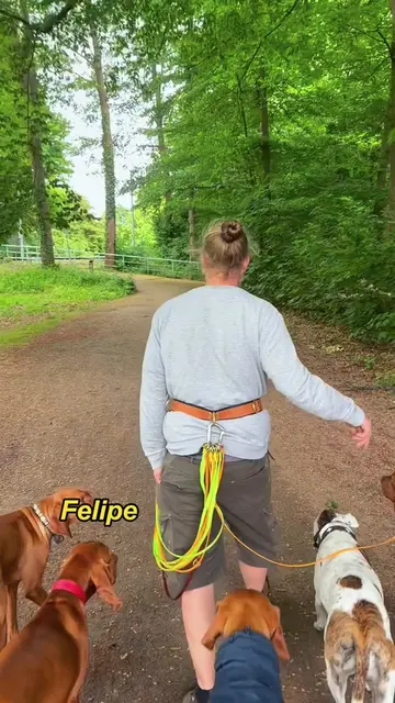 He took the whole pack of dogs for a walk.#animals #Foryou #Friendship #Us #fyp