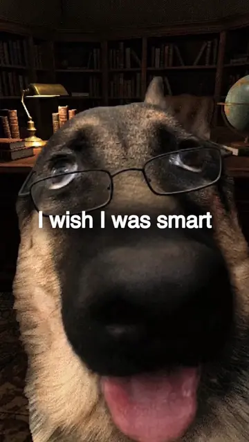 I wish I was smart