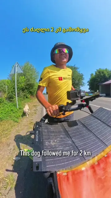 My Last Run in Georgia 🇬🇪 On my last day running through Georgia, a little dog
