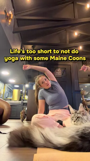 My absolute DREAM (3rd) cat joined me for the whole entire session 🥹😍 