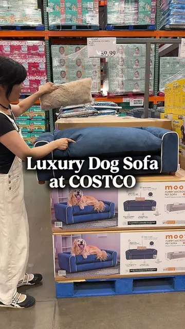 🐶🛋️Dog sofa at Costco! #costco #sofa #dogbed 