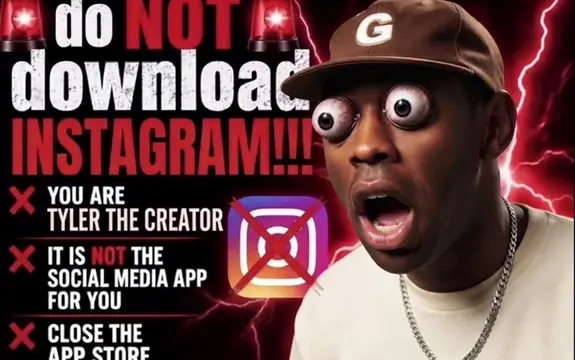 DO NOT DOWNLOAD INSTAGRAM #tylerthecreator #instagram #Grok #fyp #viral 