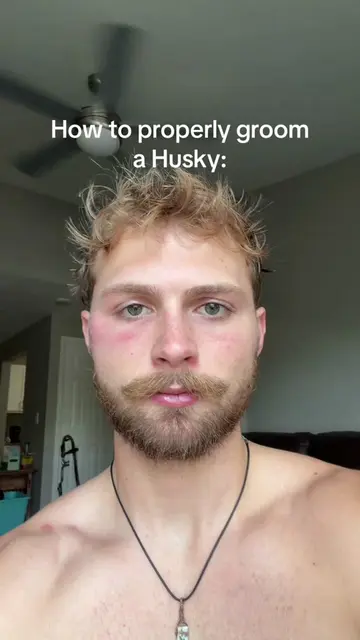 #husky #huskydad #doggo #humor #zyxbca 