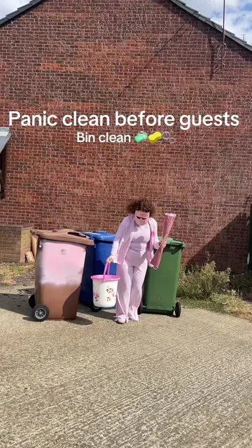 The first thing to deep clean when guests come over is the bins - outside window