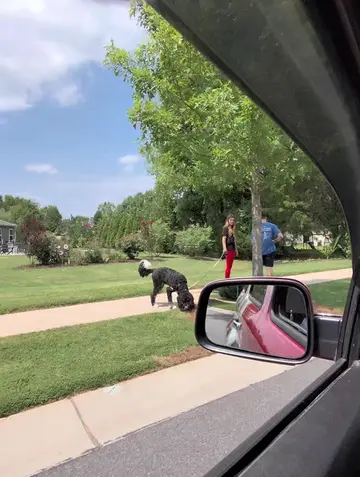 Blessing the dogs today #pawsitivity