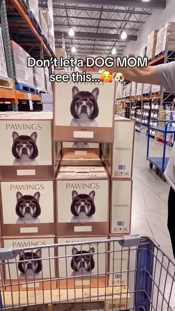 Who needs one? 🤭  #dog #dogmom #dogfunny