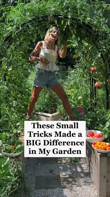 It’s the little things!🌱 If you're feeling overwhelmed with all the decisions t