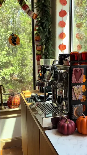 Jellybeans!!! A peek inside the cupboard of what’s in store this fall. Needless 