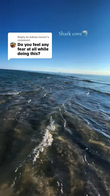 Replying to @Adnan Isovic I also never float on my back out here. The last thing