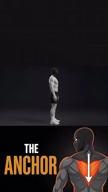 Rounded shoulders aren't a chest problem. Your lower traps quit and nobody told 