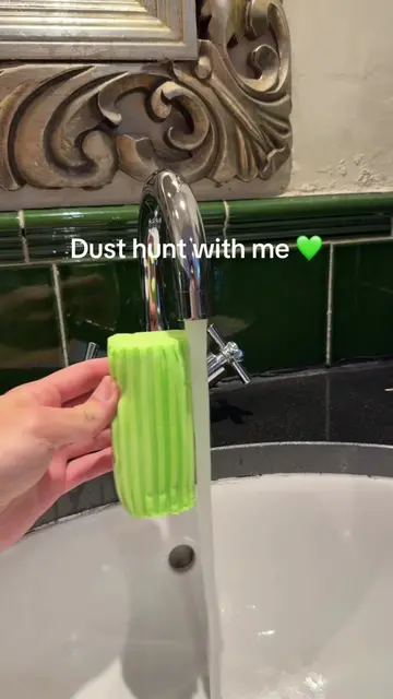 Dust hunt with me 💚 #dampduster #cleanwithme #CleanTok #cleanmotivation #cleani