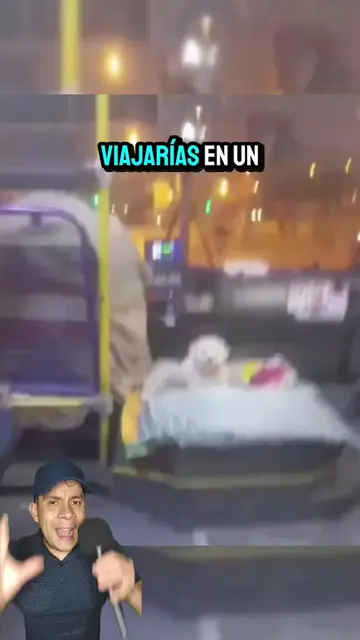 Este chofer lleva a su perrito con él durante sus recorridos 🐶❤️🚌 #dog #pet #l